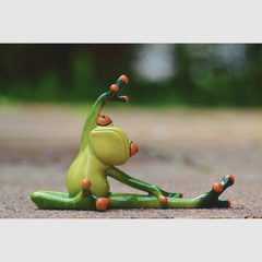 Collection image for: Fitness