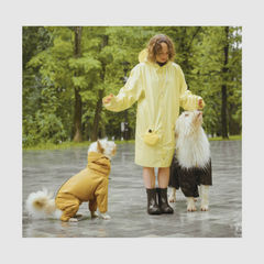 Collection image for: Regenpakken & Regenponcho