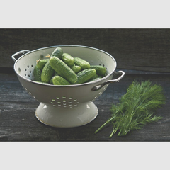 Collection image for: Vergieten