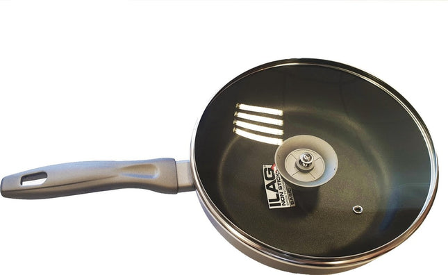 Koekenpan - Hapjespan Ø 24 cm - Koekenpannen - Ø 24 cm -Anti-aanbaklaag - handvat- Pan met Deksel