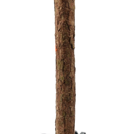 Compleet kerstboom met decoratie set | alles in één | Kerstboom 180 cm natuurlijke houten stam |Kerstverlichting 384 Led | 45 set kerstballen met piek Goud | met kerstbalhaakjes 50 stuks