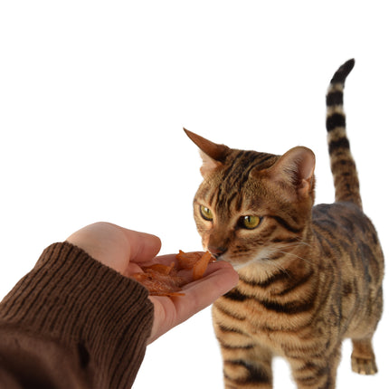 3x Smakelijke Kip Traktatie - Hoogwaardige Traktaties voor Katten - 85g Zak - Met 80% Kip - Zonder Suiker