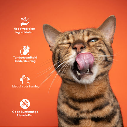 8x Smakelijke Kip Traktatie - Hoogwaardige Traktaties voor Katten - 85g Zak - Met 80% Kip - Zonder Suiker