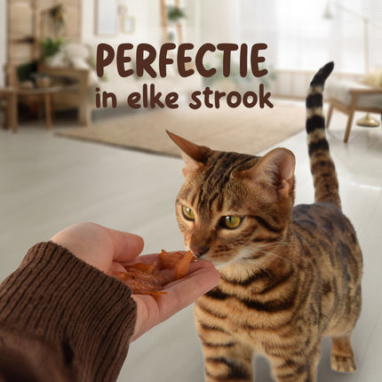 8x Smakelijke Kip Traktatie - Hoogwaardige Traktaties voor Katten - 85g Zak - Met 80% Kip - Zonder Suiker