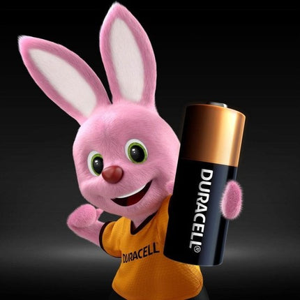 Duracell Alkaline MN21 - batterij - 2 stuks
