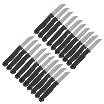 Schilmesjes Set - Messen - Koksmessen - Keukenmessen - Roestvrij Staal en Plastic - Zwart - Afmetingen: 16x1x0.8cm - Inclusief 2 Sets van 10 stuks