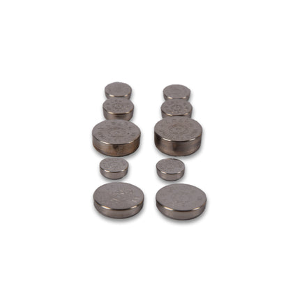 Complete Set van 60 Hoogwaardige Zilveren Knoopcellen en Batterijen - Alkaline en Lithium, 1.5V - Bevat AG1, AG3, AG12, AG13, AG4 en AG10.