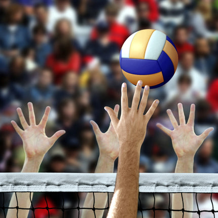 Volleybal | Strandvolleybal | elastisch en scheurbestendig | Diameter 20 cm | Geschikt voor binnen- en buitengebruik