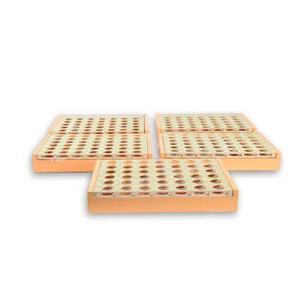 5 Stuks Kleurrijke Bordspellen voor Kinderen - vanaf 6+ Jaar - Inclusief 21 Rode en 21 Blauwe Fiches in één doos - 24cmx15cmx4cm 