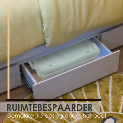 Set van 2 Opbergboxen Groen 24L - Onderbedboxen met Deksel (60x38.5x18 cm) - Ideaal voor Opslag Onder Bed, Huis & Kantoor