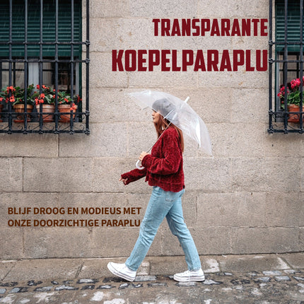 paraplu-transparant 